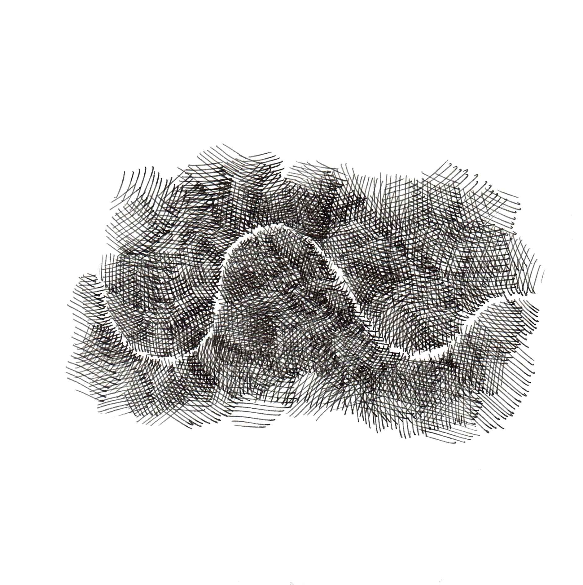 sans titre-dessin thomas goux